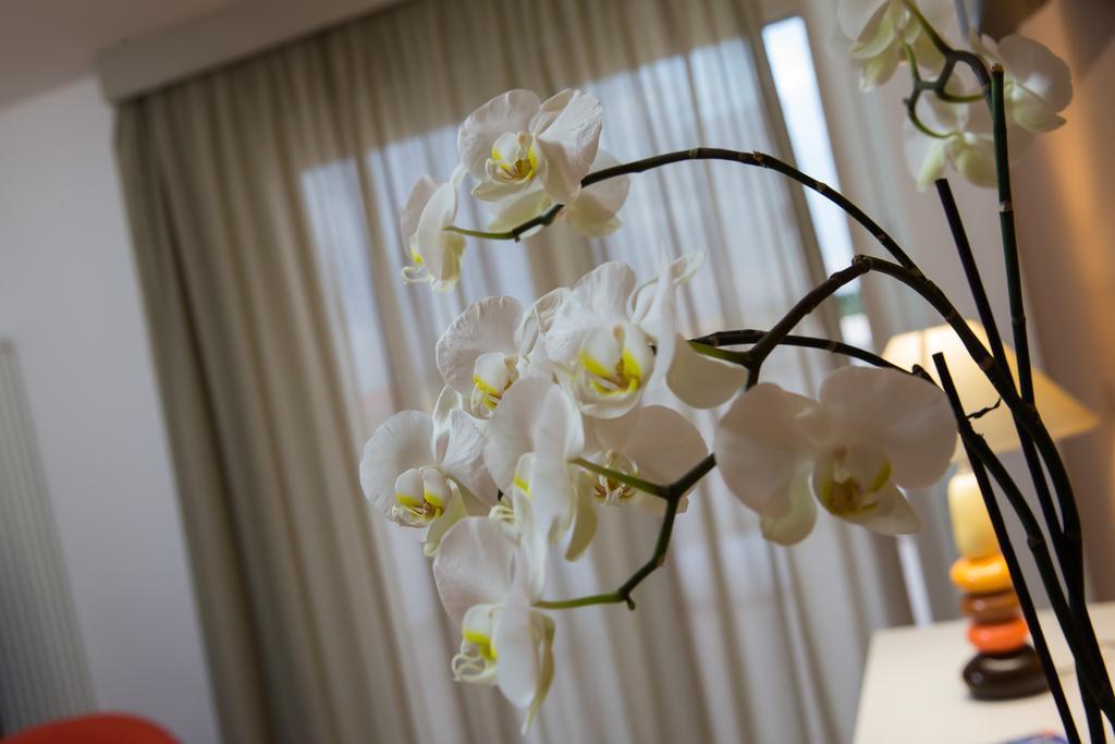 Bed & Breakfast Aria Di Mare 3*